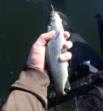 IMG_8734.jpeg IMG_8734.jpeg