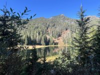 IMG_7771.jpeg