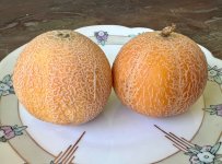 IMG_8649.jpeg