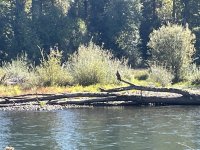 IMG_6370.jpeg