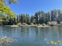 IMG_6371.jpeg