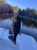 IMG_8598.jpeg