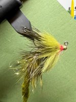IMG_9162.jpeg