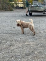 IMG_1821.jpeg