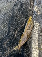 IMG_1824.jpeg