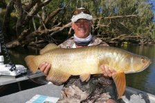 Northern Saratoga (pearl arowana).jpg Northern Saratoga (pearl arowana).jpg