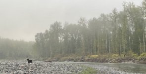 IMG_0498.jpeg