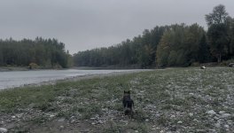 IMG_0502.jpeg