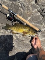 IMG_1217.jpeg