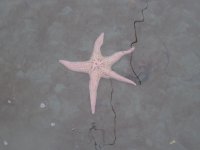 IMG_8761.jpeg