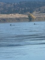 IMG_1846.jpeg