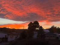 IMG_1850.jpeg