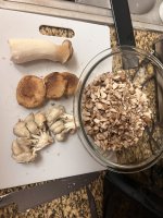 IMG_9270.jpeg