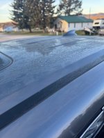 IMG_1851.jpeg