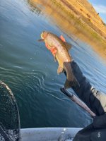 IMG_1856.jpeg
