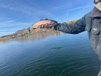 IMG_1868.jpeg