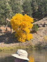 IMG_1874.jpeg