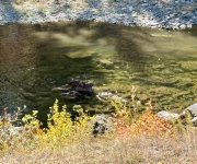 IMG_6129.jpeg