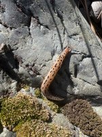 IMG_6113.jpeg