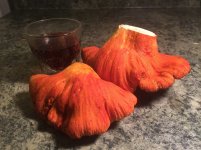 IMG_0728.jpeg