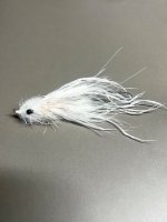 IMG_9171.jpeg