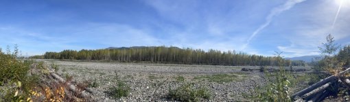 IMG_0512.jpeg