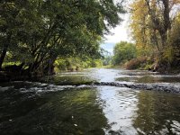 20261008_FallStream.jpg