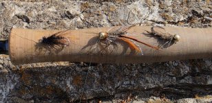 20261008_flies.jpg