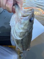 IMG_6775.jpeg