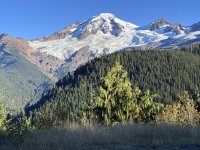 IMG_1893.jpeg