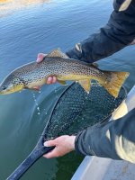IMG_1876.jpeg