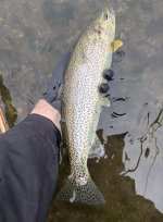 IMG_4840.jpeg