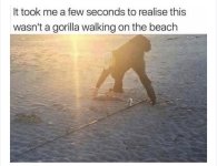 IMG_9479.jpeg