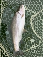 IMG_9655.jpeg