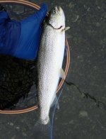 IMG_8838.jpeg