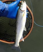 IMG_8841.jpeg