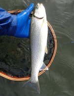 IMG_8843.jpeg