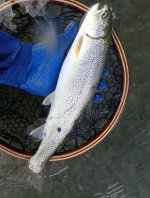IMG_8845.jpeg