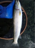 IMG_8846.jpeg