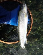 IMG_8847.jpeg