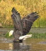 IMG_1886.jpeg