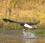 IMG_1888.jpeg