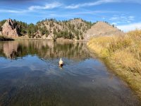IMG_3036.jpeg