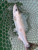 IMG_5579.jpeg