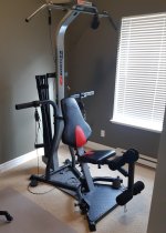 Bowflex Gym.jpg