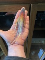 15F6F6CA-0635-438B-B3F8-C65D8C136C4A.jpeg