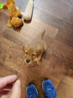 IMG_20220510_080834.jpg