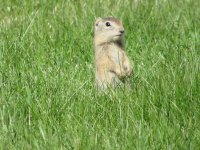 IMG_1900.JPG