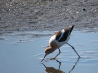 IMG_1929.JPG
