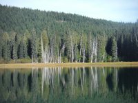 DSCF1054.jpg